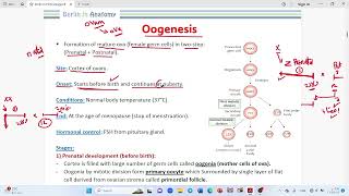 GENERAL EMBRYOLOGY Oogenesis [upl. by Filberto]