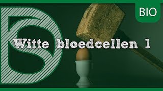 Examen biologie  Afweerbarrières antistof en antigeen Afweersysteem [upl. by Llednahc989]