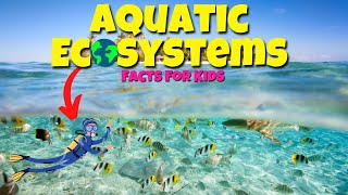 Top Facts About AQUATIC Ecosystems 🐟 🐋 Educational Lessons for Kids [upl. by Otiv]