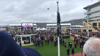 State Man and Paul Townend return after winning the 2024 Champion Hurdle at Cheltenham 12032024 [upl. by Adkins]