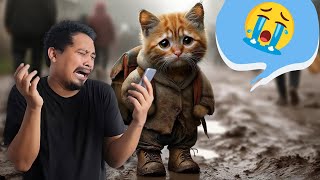 AI Cat Stories  Sad Meow Meow Song Meme Compilation 2024 [upl. by Bethel]