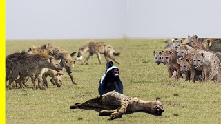 Honey Badger Is the Most Fearless Animal On Earth  Watch and Find Out Why Honey Badger Documentary [upl. by Jamesy]