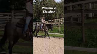 Wir lieben beides 🥰 reiten pferdetrainer westernreiten pferdetraining quarterhorse schweiz [upl. by Anaes]