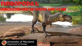 Lecture 22 Theropoda I Dinosaurs Red in Tooth and Claw [upl. by Orgell]