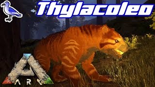 HOW TO TAME A THYLACOLEO IN ARK [upl. by Aikimat]