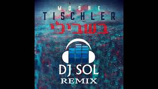 Moshe Tischler  Bishvili DJ Sol Remix [upl. by Johnnie]