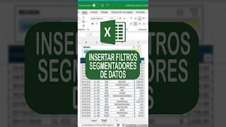 COMO INSERTAR SEGMENTACION DE DATOS EN EXCEL Excel Exceltips Exceltutorial Shorts [upl. by Kappel]