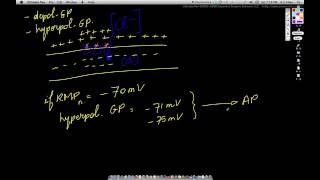 NS 4 GP Hyperpolarization Large [upl. by Annodam530]