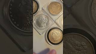 Morgan silver dollar collection morgansilverdollarsilverbullionconstitutionalsilversilverdollar [upl. by Gower]