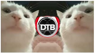 Cat Vibing Meme DNK 2021 EDM Remix [upl. by Liuqnoj276]