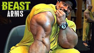 BEAST ARMS  LETS BUILD TRICEPS AND BICEPS  ROELLY WINKLAAR MOTIVATION [upl. by Codd]