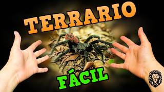 COMO HACER UN TERRARIO CASERO Tarántula  Reino Animal [upl. by Ahsenrac]