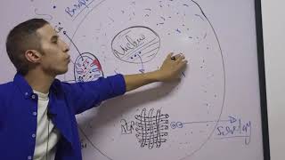 Cytoplasmic Organelles Alsalam [upl. by Noyar]