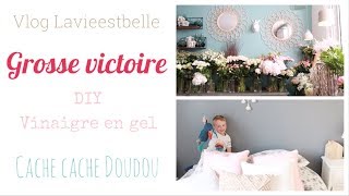 🎦 Vlog  grosse victoire DIY vinaigre en gel cache cache doudou balade🎦 [upl. by Molly369]