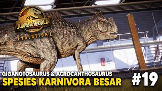 GIGANOTOSAURUS DAN ACROCANTHOSAURUS BERHASIL KITA HADIRKAN  JURASSIC WORLD EVOLUTION 2  PART 19 [upl. by Ashbaugh721]