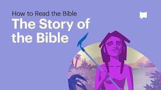 The Story of the Bible • What Its About From Beginning to End [upl. by Caty]