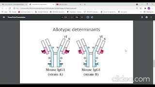 Isotype allotype idiotype بالعربي [upl. by Kolosick690]