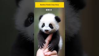 Bamboo Panda promonster [upl. by Anirbys]