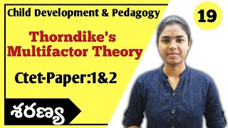 Thorndikes Multifactor Theory of Intelligence explained in telugu  Ctet Paper 1amp2  Ctet Telugu [upl. by Sadoff]