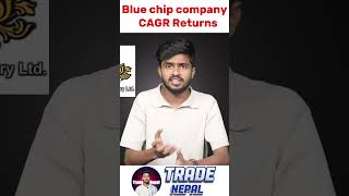 Blue chip company CAGR return nepse bluechipcompanies nepseupdatetoday tradenepal [upl. by Haelahk]