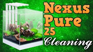 CIANO NEXUS PURE 25 FISH TANK CLEAN  FIRST ATTEMPT AT VLOGGING [upl. by Pierpont162]