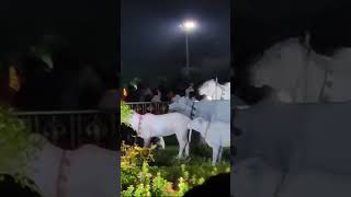 Chhoti Chhoti Gaiya chhote chhote Gwal chhoto so Mero Madan Gopal chandanroy mohinerghoraguli [upl. by Meta]