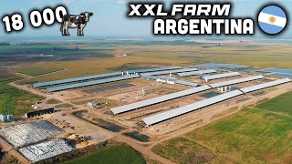 CE FERMIER ARGENTIN À 18 000 VACHES 🇦🇷 [upl. by Sadick833]