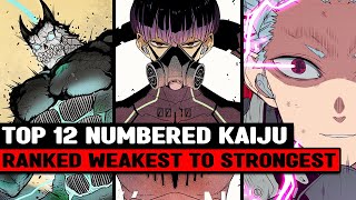 ALL 12 Numbered Kaiju  Weapons RANKED amp EXPLAINED [upl. by Jecon415]