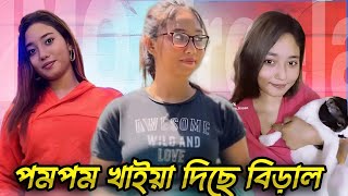 পমপম খাইয়ে দিছে বিড়ালে  Apsara TikTok Roasted by Foysal Gaming 2X [upl. by Ytsanyd]