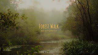 A Cinematic Foggy Forest Walk  Fujifilm XH2S 62K Open Gate  Vintage Lens [upl. by Charbonnier]