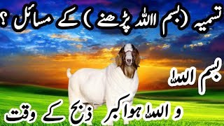 quotQurbani Ki Asliyat Bismillah Zibah Aur Ibadat Ka TariqaquotIslamic masailIslamic story [upl. by Bertsche]