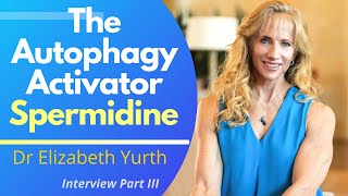 Activating Autophagy With Spermidine While Growing Muscle  Dr Elizabeth Yurth Ep3 [upl. by Koralie]