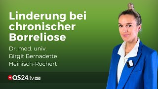 Die Inuspherese und Borreliose Neue Hoffnung für Patienten mit chronischer Infektion  QS24 [upl. by Chrissa]