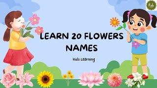 flowers name  20 flowers name  flowers name with spelling [upl. by Frodi]