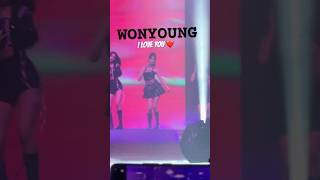 WONYOUNG I LOVE YOU ❤️ IVE 아이브 Accendio DANCE BREAK in Paris Accendio 아센디오 Shorts [upl. by Omik45]