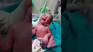 First cry baby at birthmaa shortvideo baby cutebaby status babyvideos cute nurse touching [upl. by Yelrahs674]