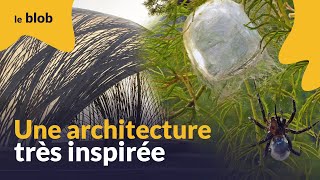 Une architecture très bioinspirée  Nature  Futur [upl. by Farnsworth]