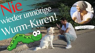 So sparst du dir unnötige Wurmkuren bei deinem Hund VETEVO [upl. by Phenice219]