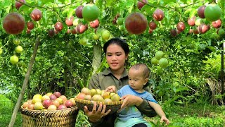 Harvesting Passion Fruit to sell at the market Gardening to grow Flowers amp Ornamental Plants [upl. by Ardnoek110]