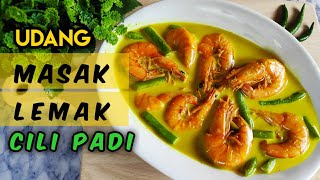 UDANG MASAK LEMAK CILI API  TIPS KUAH YANG SEDAP TERANGKAT😉 [upl. by Nylsirk884]