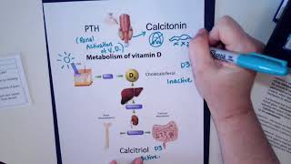 Calcitriol amp Calcitonin [upl. by Orji]