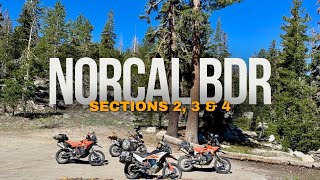 NorCal BDR Sections 234  KTM 890 Adventure’s [upl. by Ramyar299]