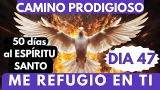 Día 47🔥🙏 CAMINO PRODIGIOSO 50 DÍAS AL ESPÍRITU RUMBO A PENTECOSTÉS ME REFUGIO EN TI❤️‍🔥 [upl. by Ainiger83]