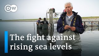 Climate change in the Netherlands  Pioneering coastal management  DW Documentary [upl. by Goines]