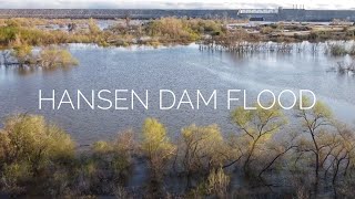 Hansen Dam After the Storm Incredible Aerial Views of a Flooded Landscape [upl. by Jerald273]