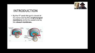 Embryology of the GIT Body Folding Part 1 [upl. by Margherita]