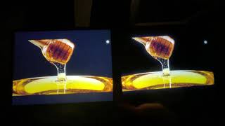 Display comparison iPad Pro 129” 2021 5th gen XDR display VS 2020 4th gen iPad Pro 129” [upl. by Bernarr216]