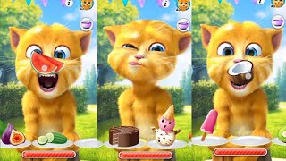 preview 2 original 🤣Talking to cats ginger 2 games to shortvideo Talking Asghar 02 [upl. by Lawan]