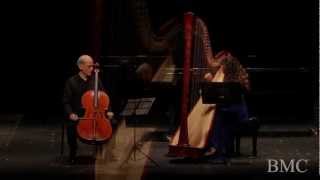 STRAUSS Romance For Cello and Harp in D minor Op 243 arr Zdorovetchi [upl. by Harle]