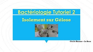 Bactériologie Tutoriel 2  Faire un isolement sur gélose  étude macroscopique des colonies [upl. by Kho580]